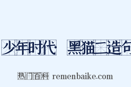 少年时代·黑猫二造句是什么意思的图片